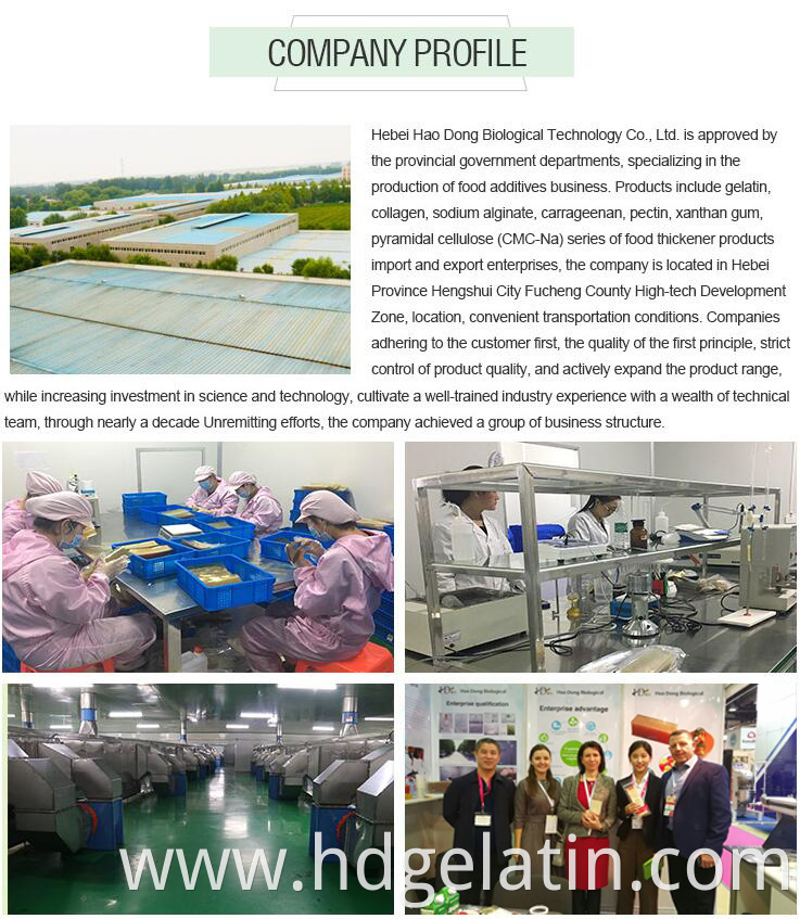 Good quality odorless wholesale gelatin bone glue supplier